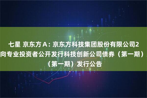 七星 京东方Ａ: 京东方科技集团股份有限公司2025年面向专业投资者公开发行科技创新公司债券（第一期）发行公告