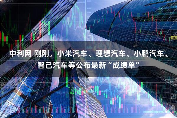 中利网 刚刚，小米汽车、理想汽车、小鹏汽车、智己汽车等公布最新“成绩单”